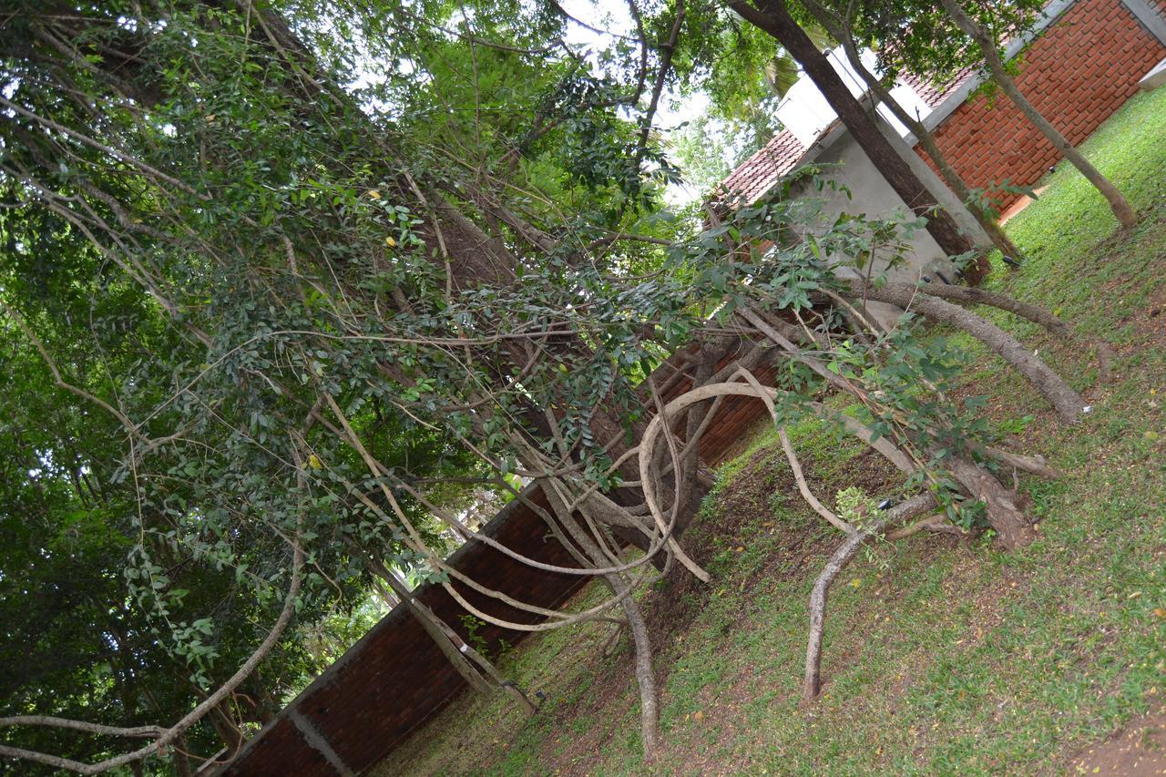 Sigiri Resort Sigiriya Exterior photo