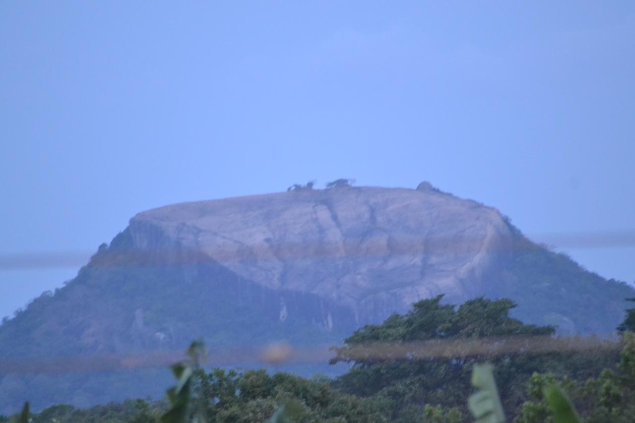 Sigiri Resort Sigiriya Exterior photo